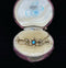 Australian_Turquoise_and_Pearl_Brooch