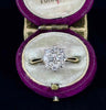 a front view of the  antique flower cluster in an antique ring box