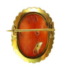 Back view of Victorian coral cameo brooch showing 15ct gold mounting and original pin fitting, natural coral surface.
