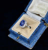 Stunning blue Ceylon sapphire cluster ring featuring a cushion-shaped diamond border in white gold.
