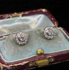 Angled view of diamond posy cluster stud earrings in 18ct white and yellow gold, shown in their fitted presentation case.