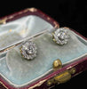 Front detail of diamond posy cluster stud earrings set with round brilliant-cut diamonds in 18ct white and yellow gold.